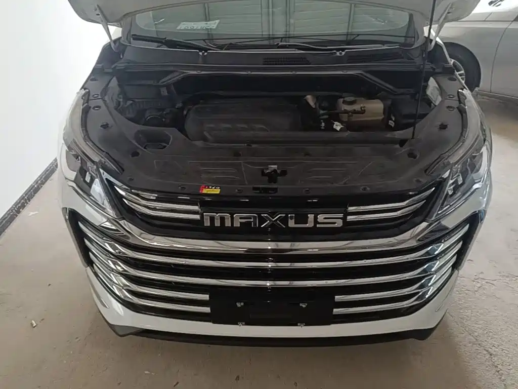 Фото 20 - Maxus Maxus G50