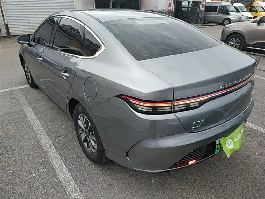 BYD Destroyer 05 2024 Glory Edition DM-i 55KM Luxury фото 5