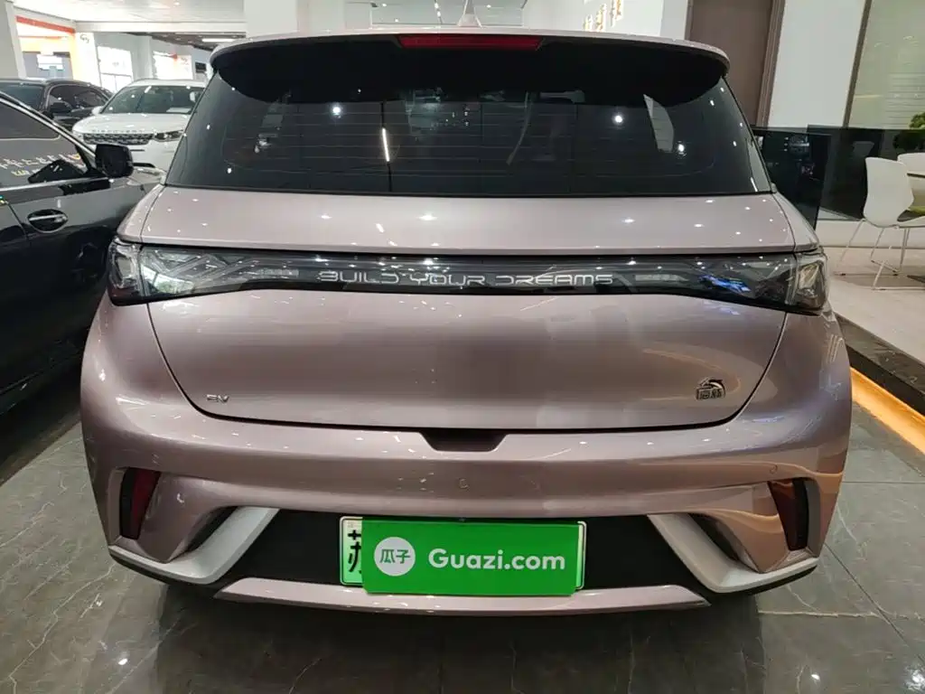 BYD Dolphin 2022 2021 Model 405km Fashion Edition