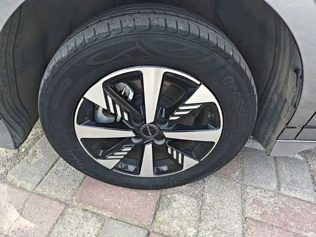 BYD e2 2023 2023 Luxury Model