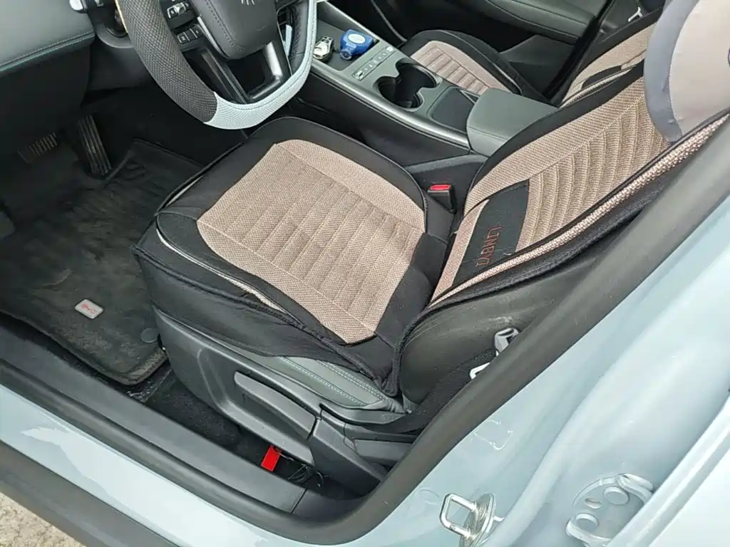 BYD Qin PLUS 2026 2026 EV Smart Drive Edition 510KM Progressive