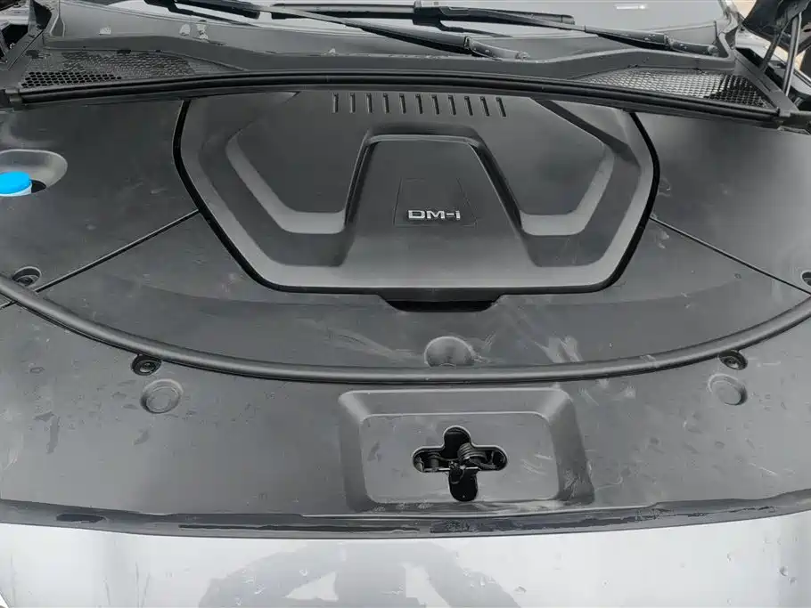 BYD SONGJIANG NEW ENERGY