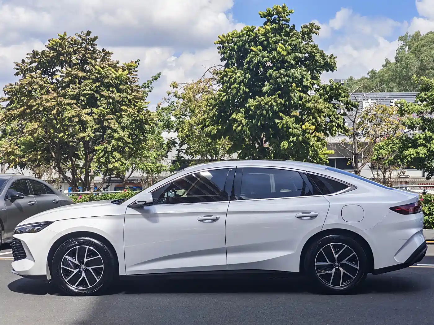 BYD Qin L 2024 2024 DM-i 120KM Leading