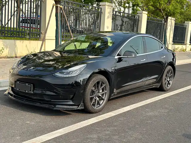 Tesla Model 3 2019 Standard Range Rear-Wheel Drive Upgrade
