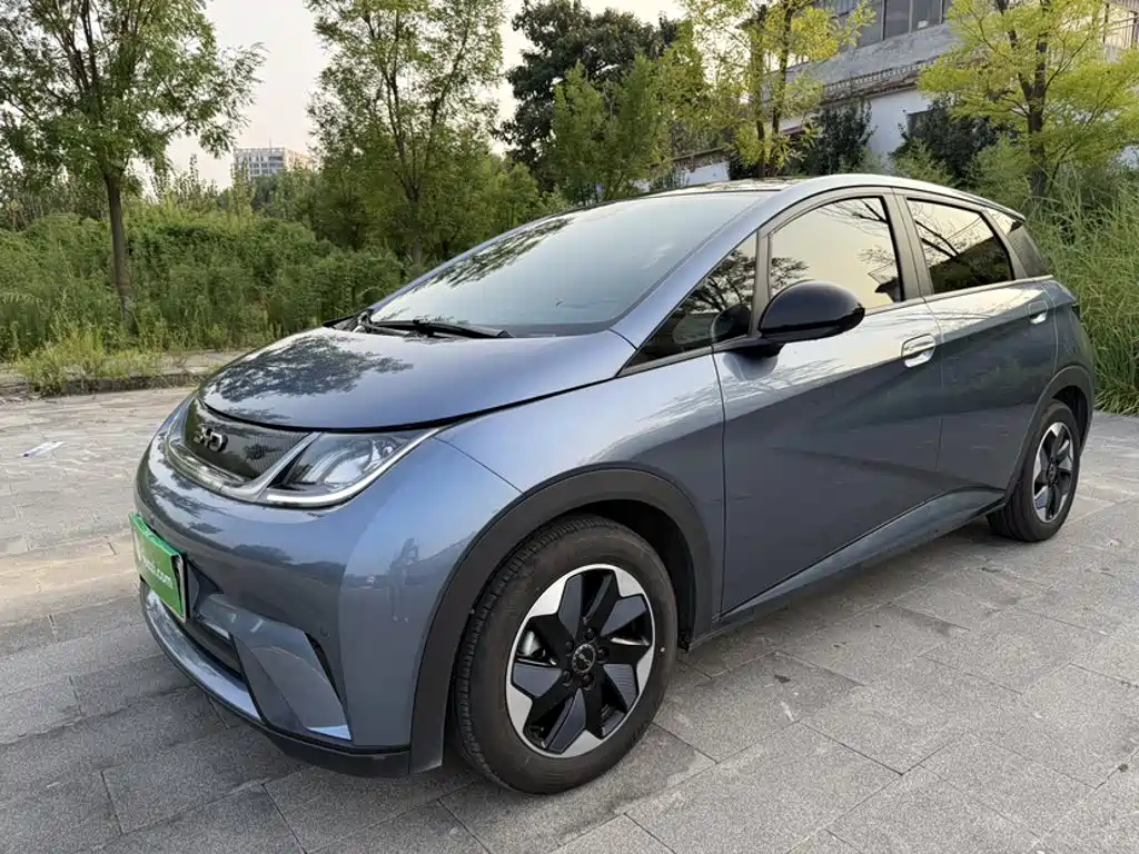 BYD Dolphin 2024