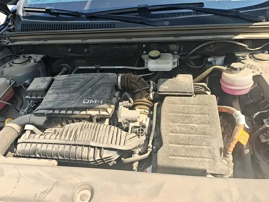 BYD SONGJIANG NEW ENERGY