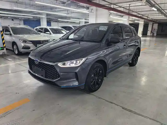  BYD BYD e2 2020 Upgraded Long Range Luxury