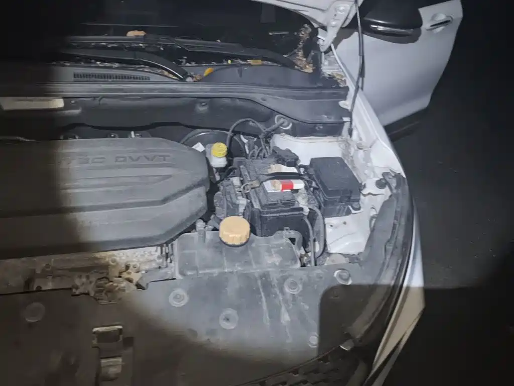 Photo 21 - Baojun 510