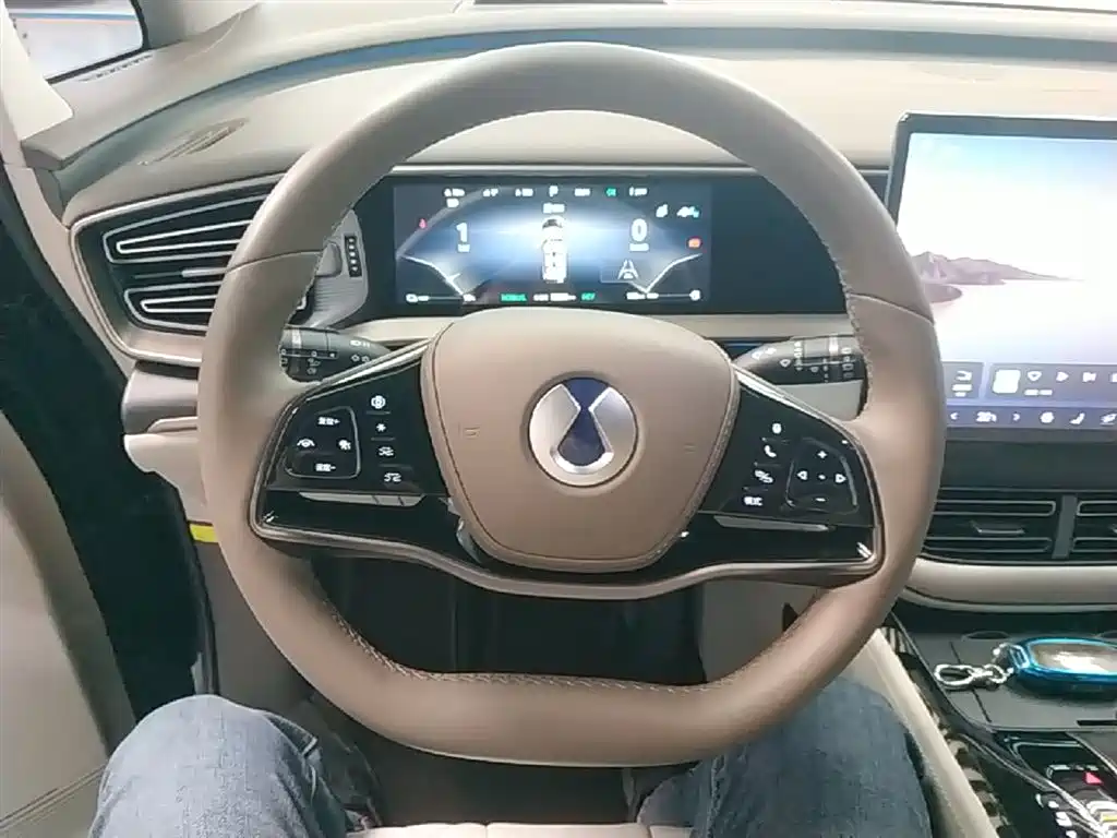Denza D9 2022 DM-i 970 AWD Flagship фото 11