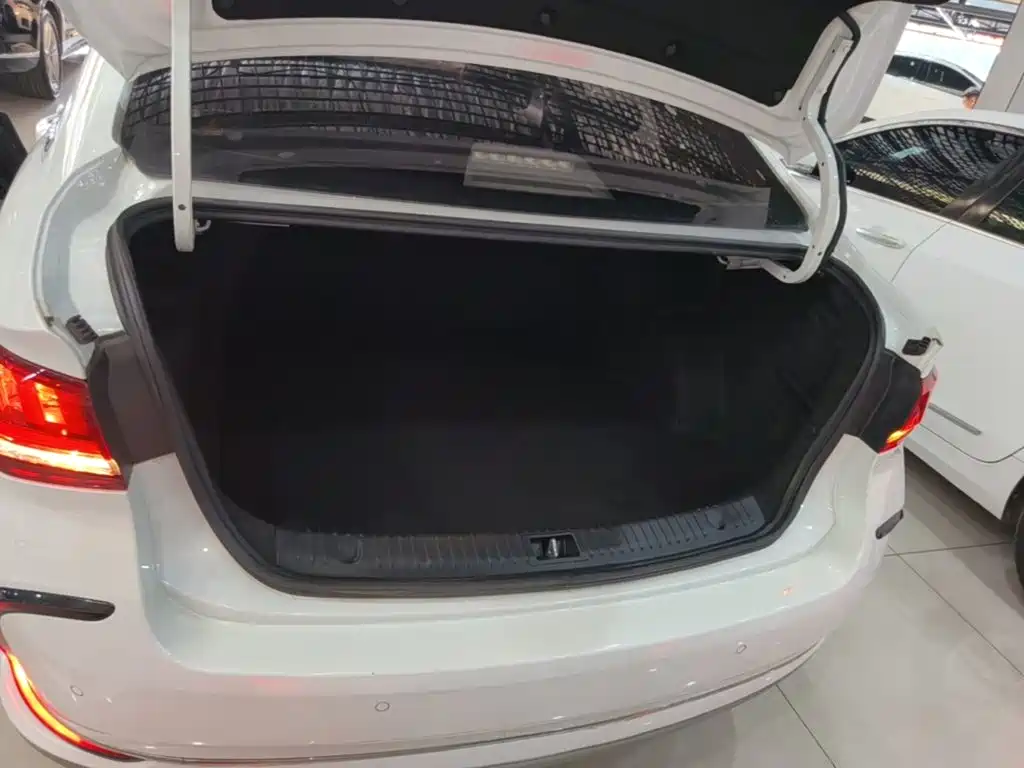 BAIC Beijing EU5 2021 2020 R500 Zhifeng Edition