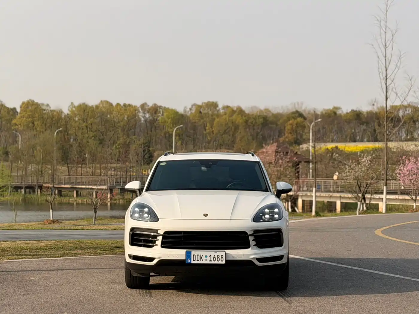 Porsche Cayenne 2018 Cayenne 3.0T фото 2