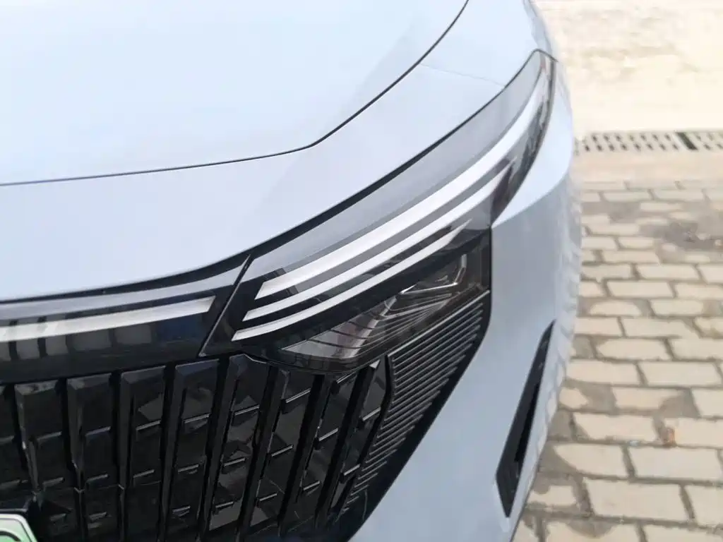 Venucia DaV DD-i 2024 2023 110km iE Edition