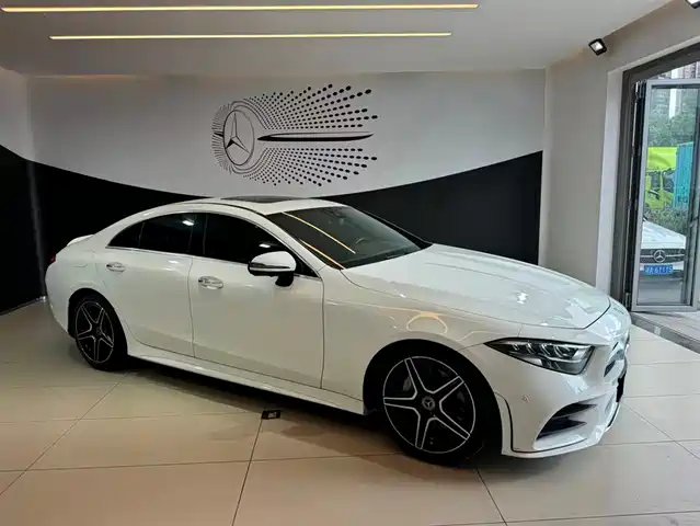 Mercedes-Benz CLS 2021 CLS 300 Luxury — фото 4
