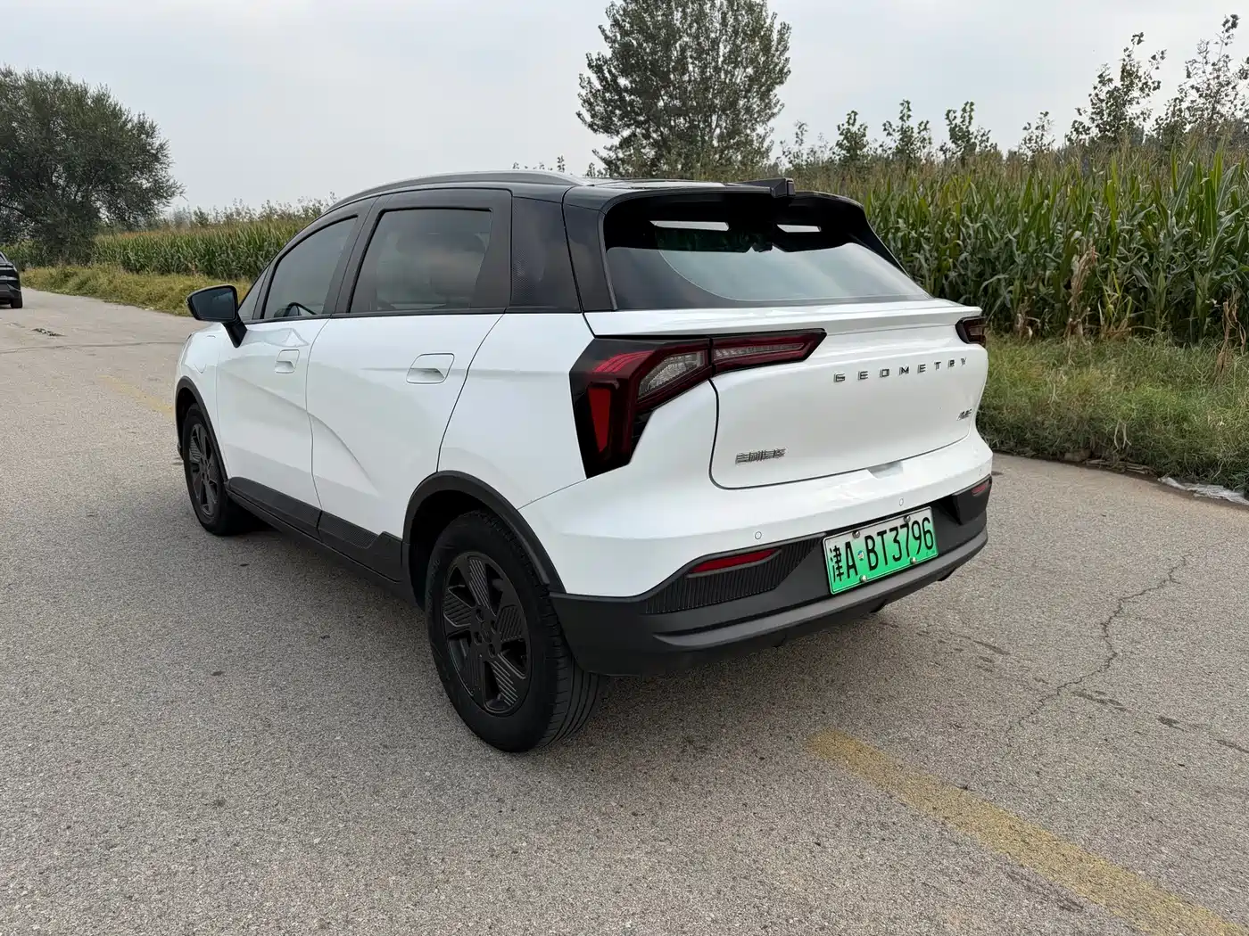 Photo 2 - Geely Geometry E Firefly