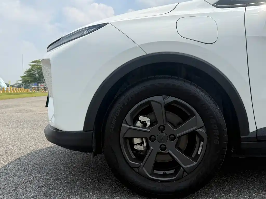 Geely Geometry E Firefly 2023 2023 401KM Linglong Tiger 5-Seater