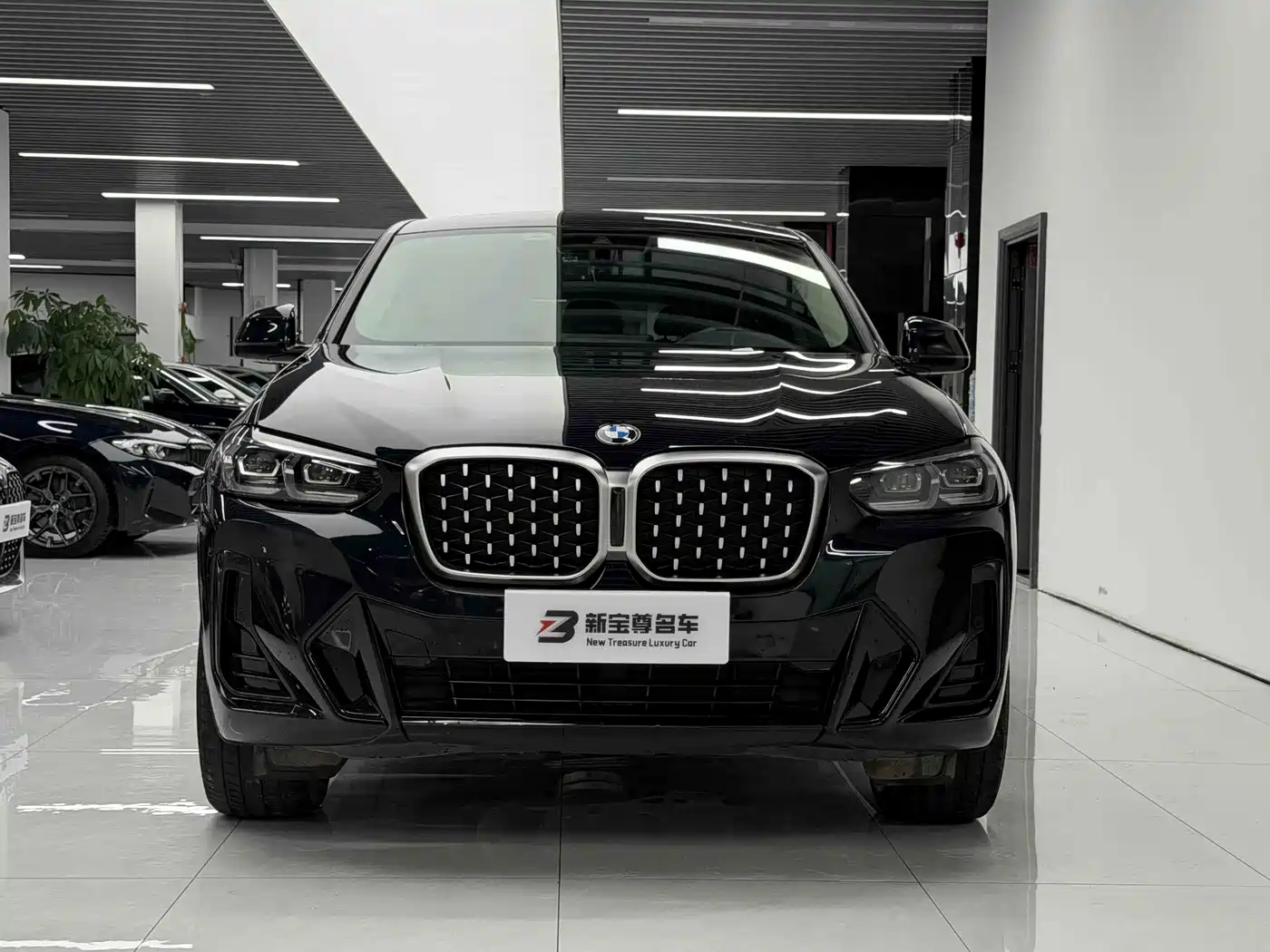 BMW X4 2024 2022 xDrive 25i M Sport Package