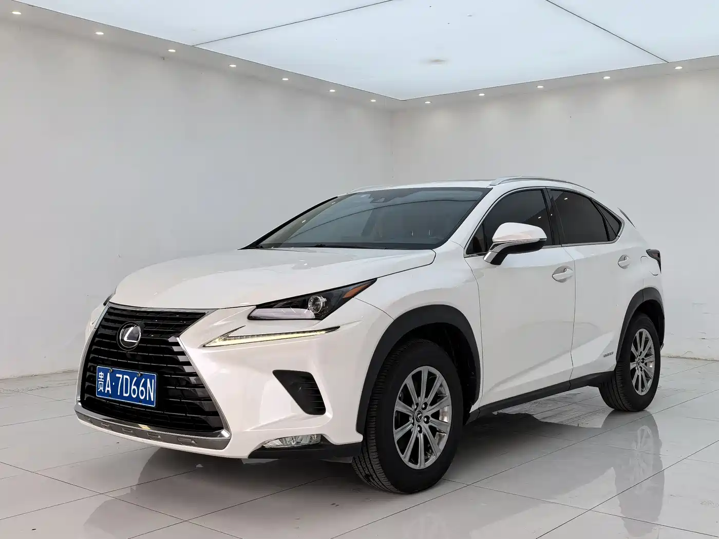 Lexus NX 2020 200 AWD F Sport China V
