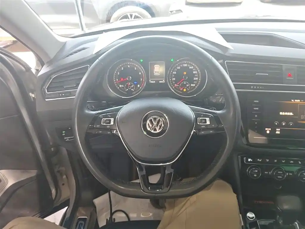 Volkswagen Tiguan L 2019 330TSI Automatic 2WD Smart Luxury Edition China VI фото 11