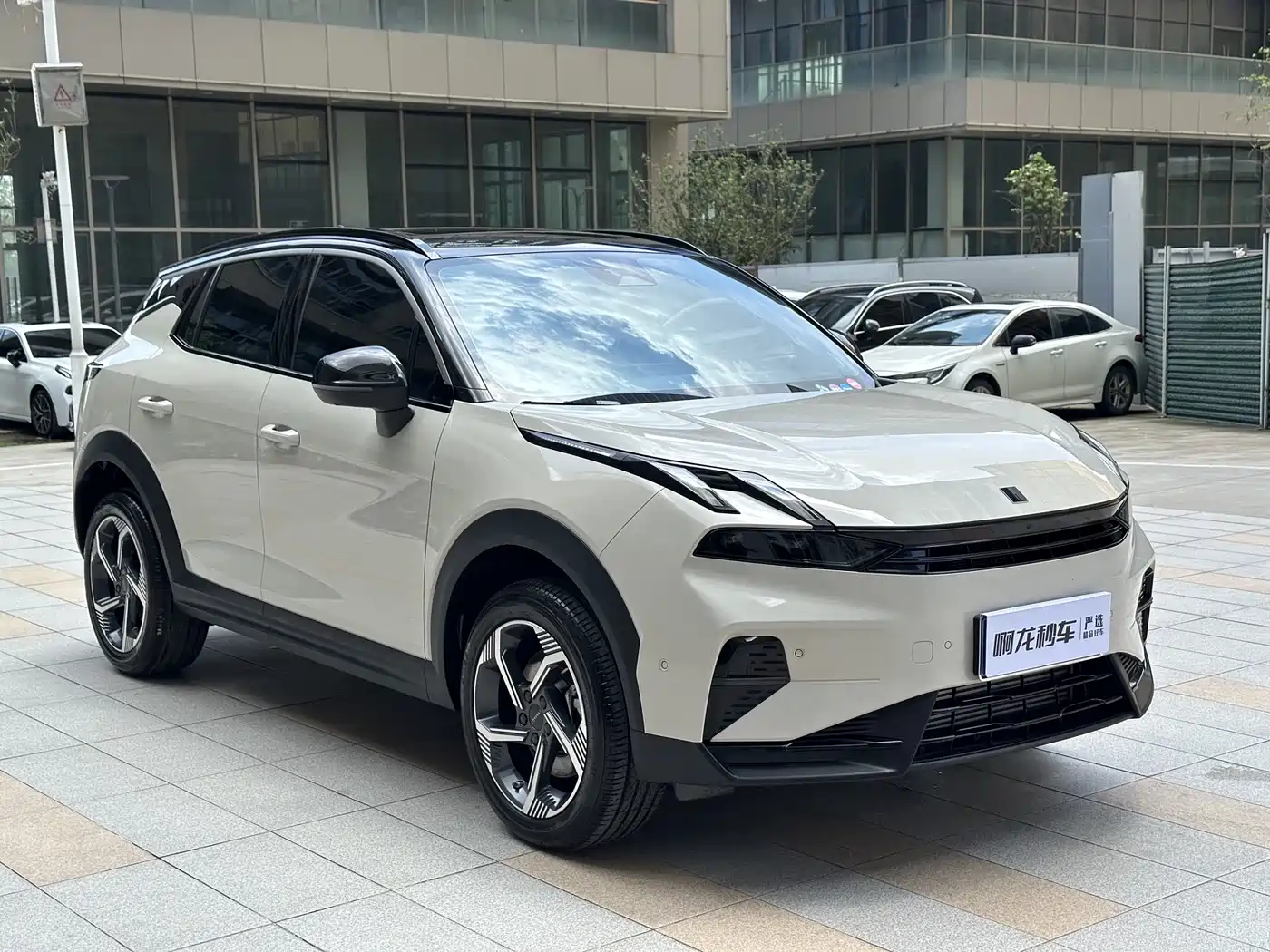 LYNK 06