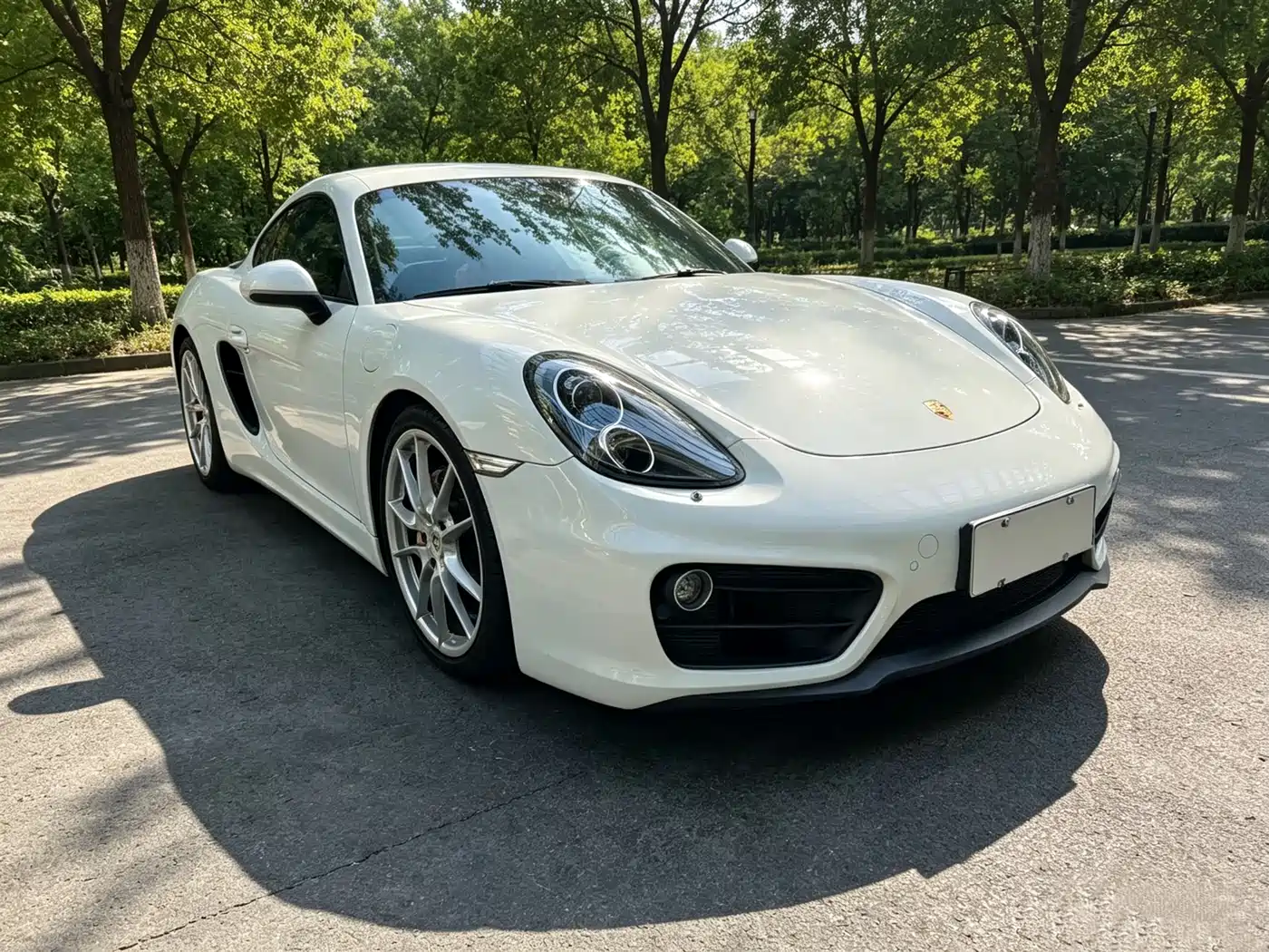 Porsche Cayman 2016 2015 Cayman Style Edition 2.7L
