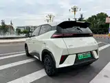 Фото 9 - BYD Seagull
