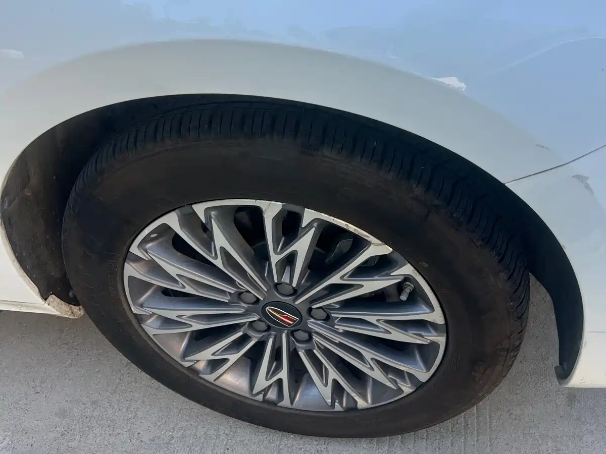 Hongqi H5 2023 1.5T DCT Smart Connect Joy Edition фото 15