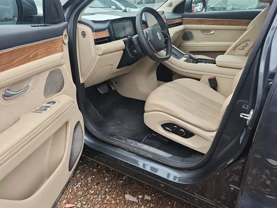 AITO Wenjie AITO M7 2022 1.5T RWD Comfort Edition фото 9