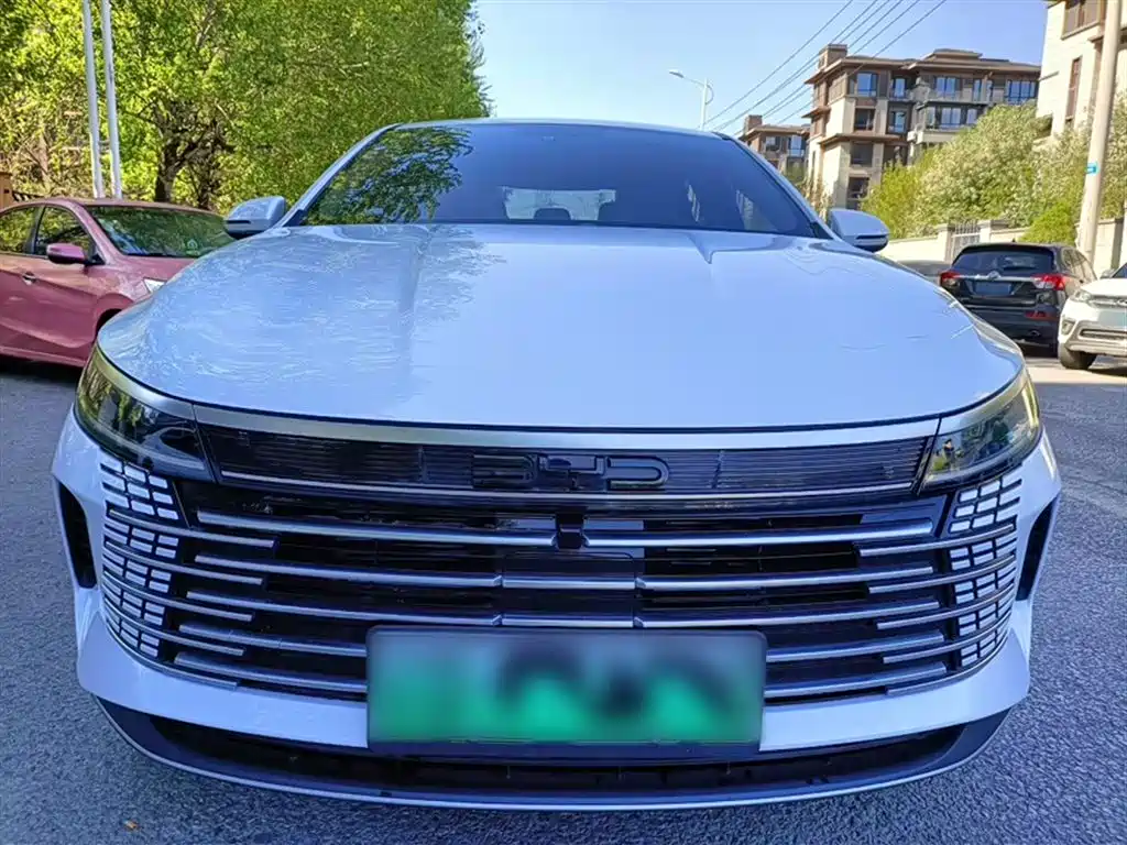BYD Destroyer 05 2024 Glory Edition DM-i 55KM Luxury фото 6