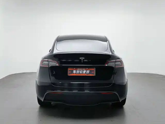 Tesla Model Y 2021 Model Long Range AWD — фото 4