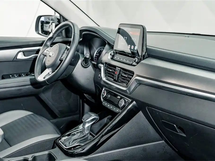 Kia Sportage 2019 2.0L Automatic Smart Luxury Edition фото 18
