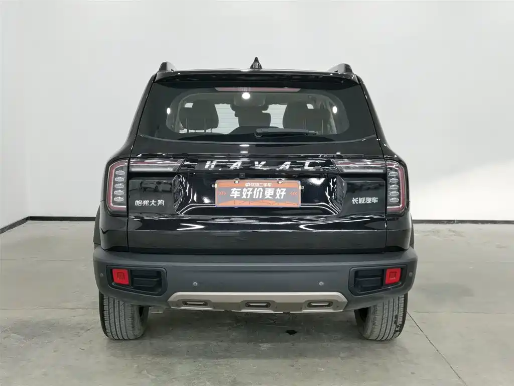 HAVAL BIG DOG