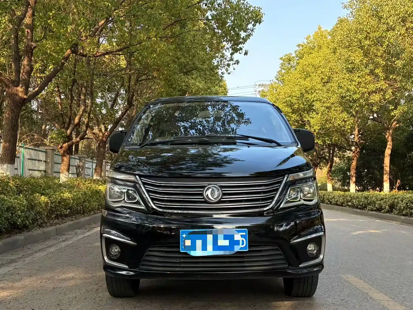 Фото 2 - Dongfeng Fengxing Lingzhi