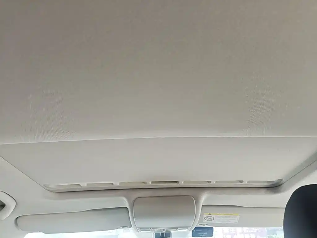 Volkswagen Polo 2014 2014 1.6L Cross Polo Automatic