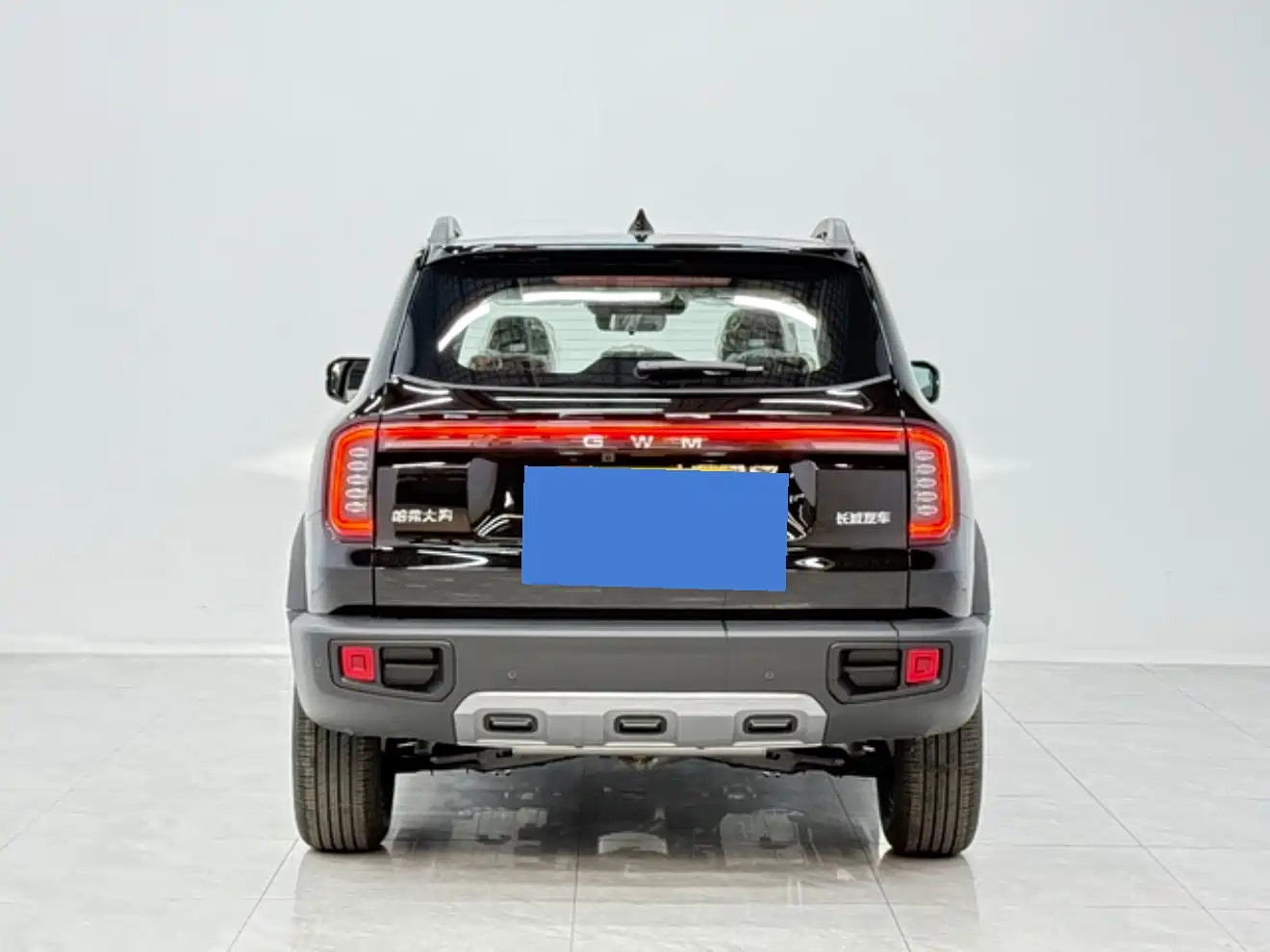 Haval Big Dog 2026 Model 1.5T High Configuration фото 5