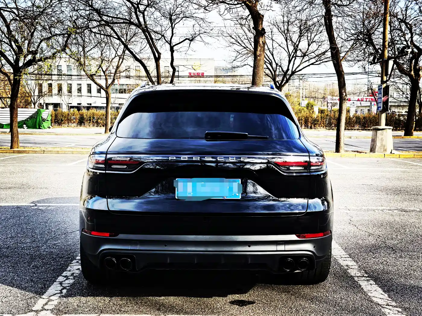 Porsche Cayenne 2023 Cayenne 3.0T Platinum Edition фото 20