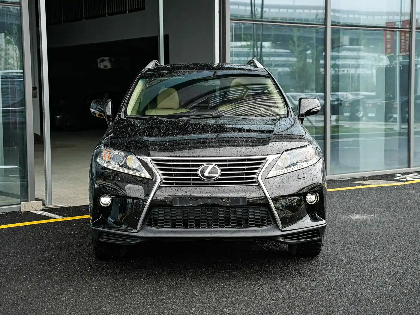 Lexus RX Classic 2013 270 Elite фото 2