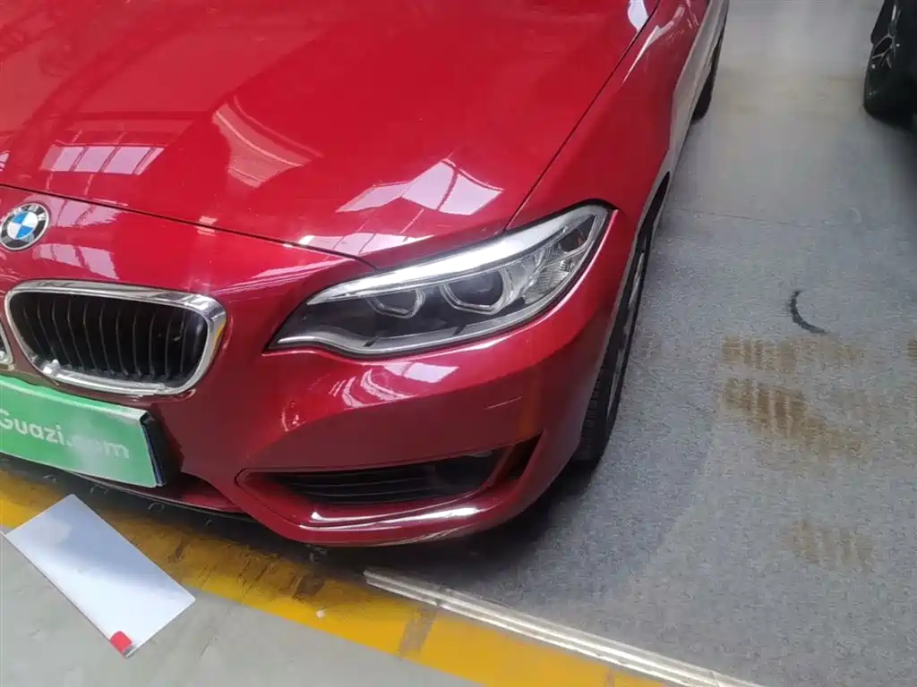 BMW 2 Series (Import) 2015 218i Convertible Coupe фото 24
