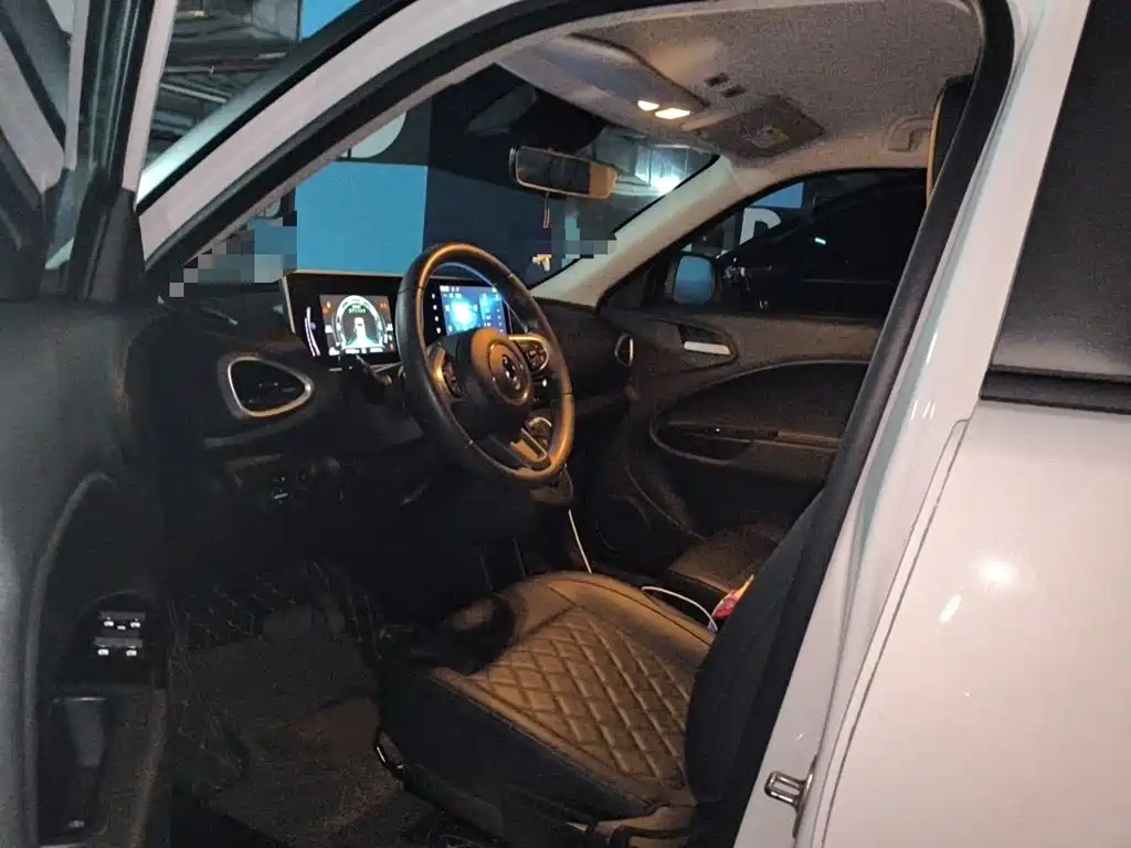 Ora White Cat 2021 2020 401km Flagship Model