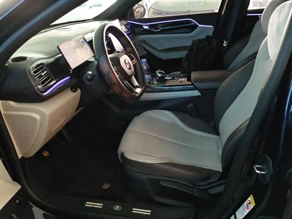 BYD Qin PLUS 2023 Champion Edition DM-i 55KM Leading фото 15