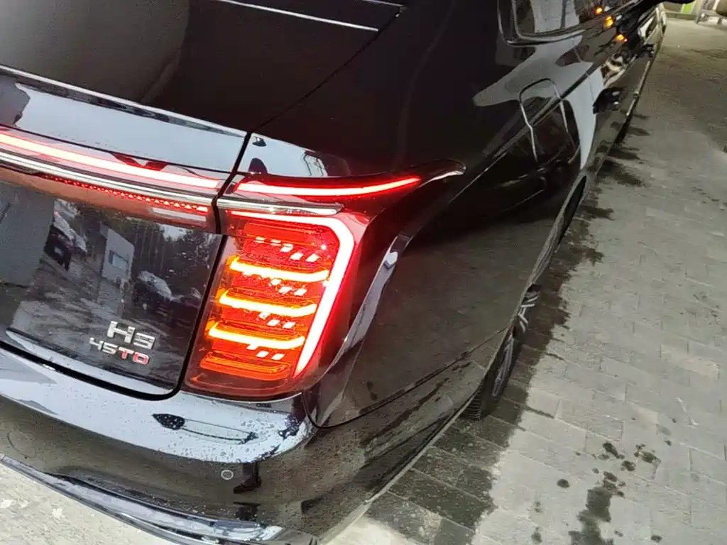 Photo 8 - Hongqi H9