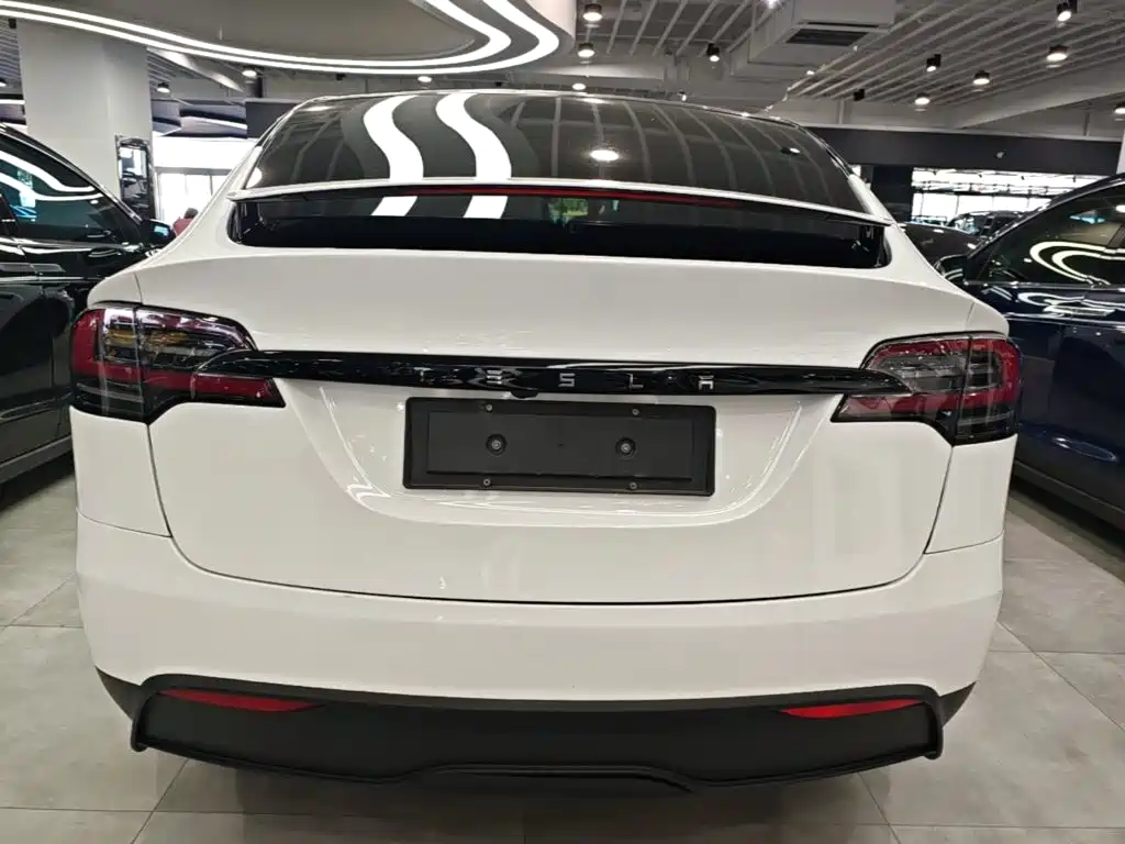 Фото 4 - Tesla Model X