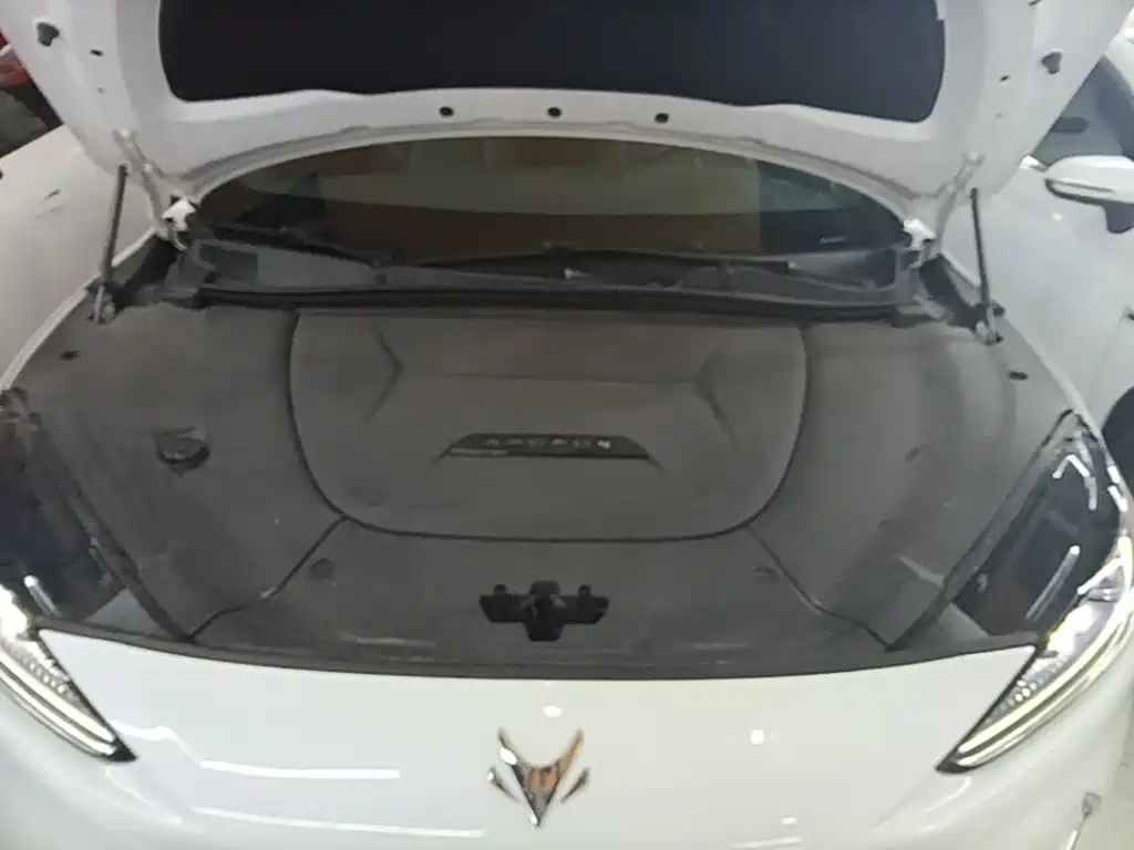 ARCFOX Alpha S 2023 2022 Model 525S 175kW