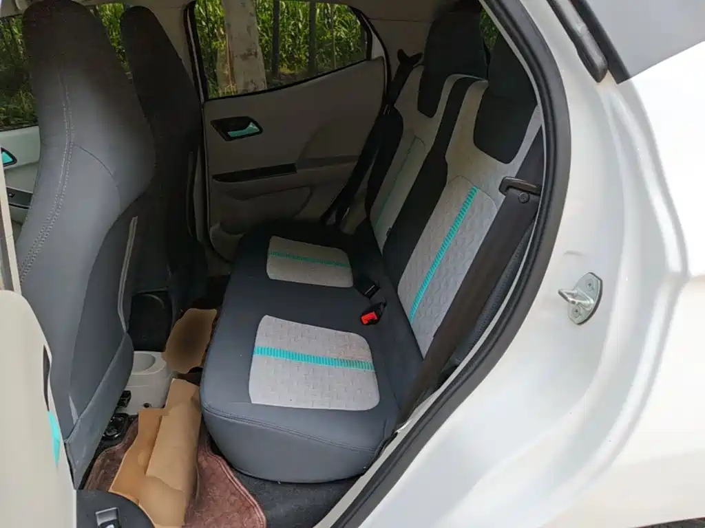 JMCG New Energy Little Kirin 2025 2024 201km Comfort Model