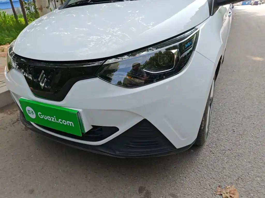 JMCG New Energy Little Kirin 2025 2024 201km Comfort Model