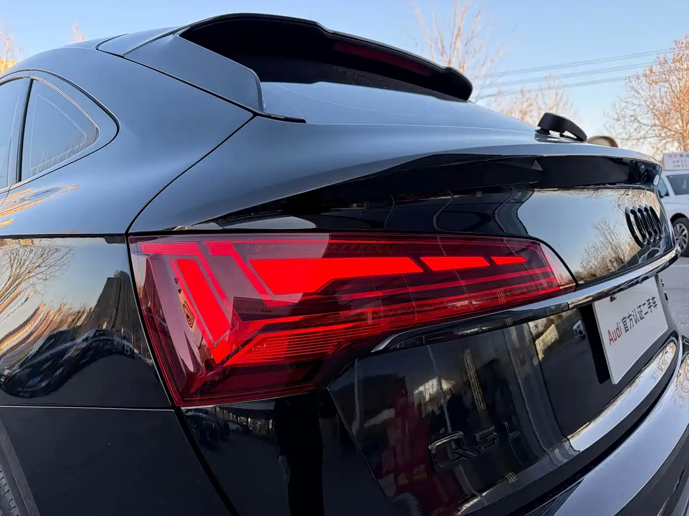 Audi Q5L Sportback 2023 40 TFSI Luxury Style фото 13
