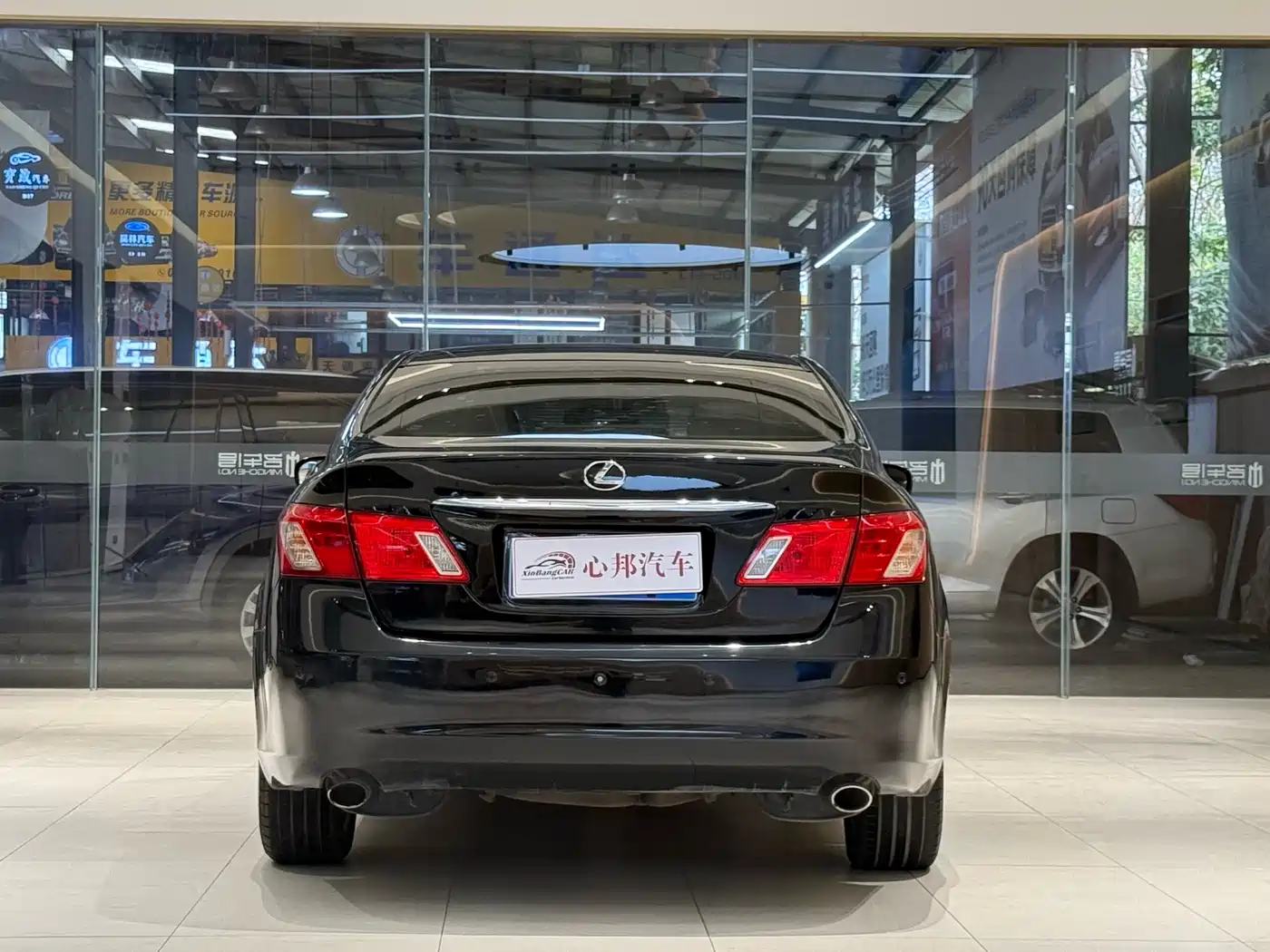 Lexus ES 2010 350 Luxury Edition фото 24