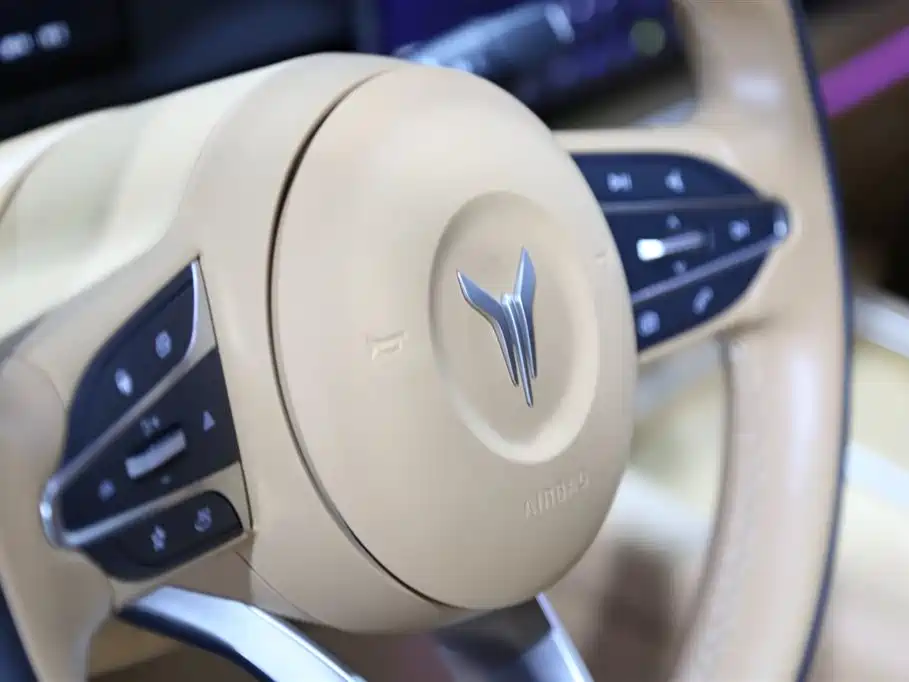 Voyah Auto Voyah Dreamer 2025 PHEV AWD Flagship Kunpeng Edition фото 8