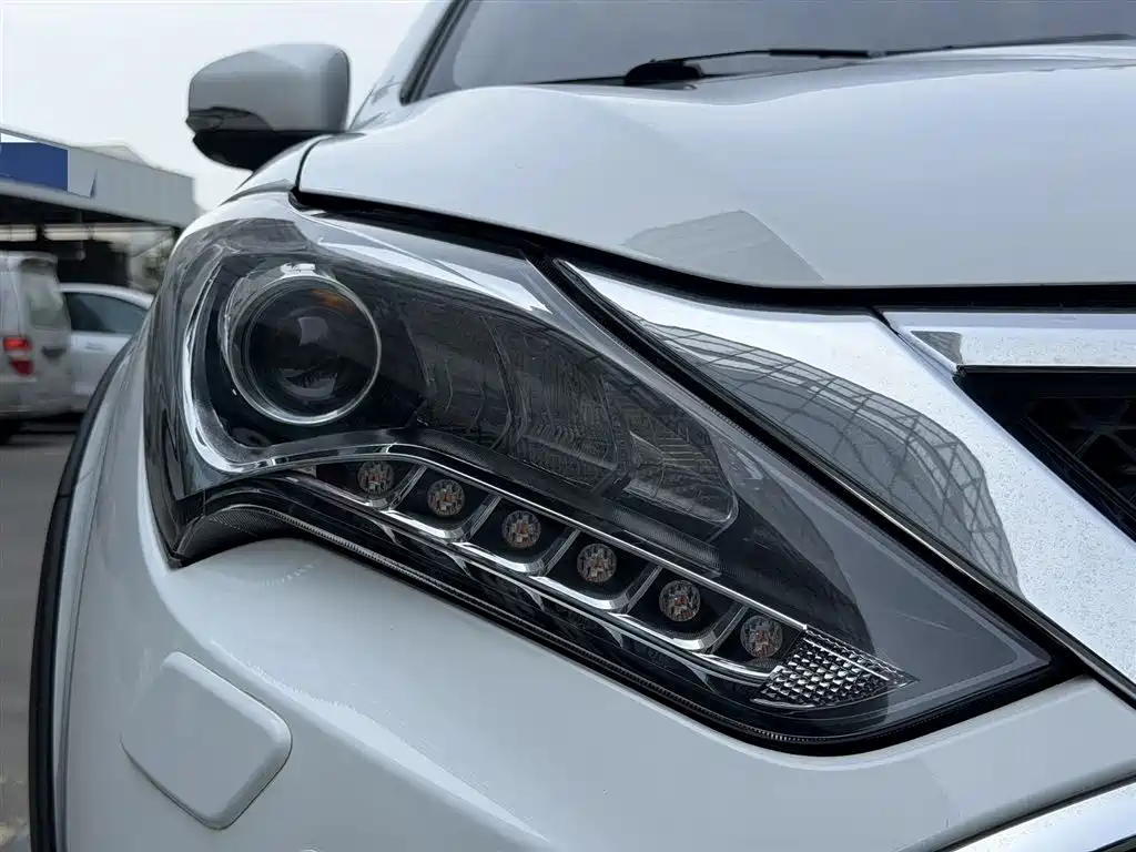 BYD Tang New Energy 2015 2.0T 4WD Flagship фото 3