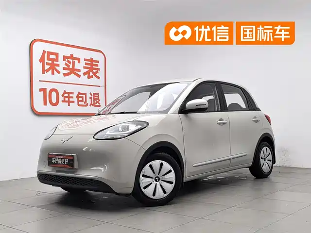  Wuling Motors Wuling Bingo 2023 Model 203km Lite Enjoyment Edition