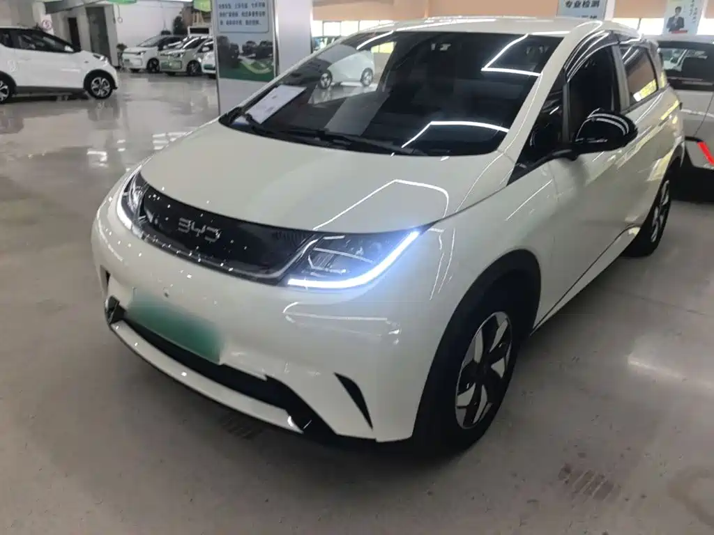 BYD Dolphin 2025 — пригон из Китая